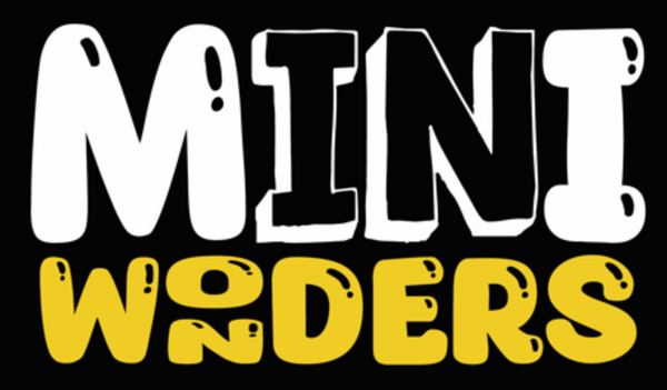 MINNIE WONDERS